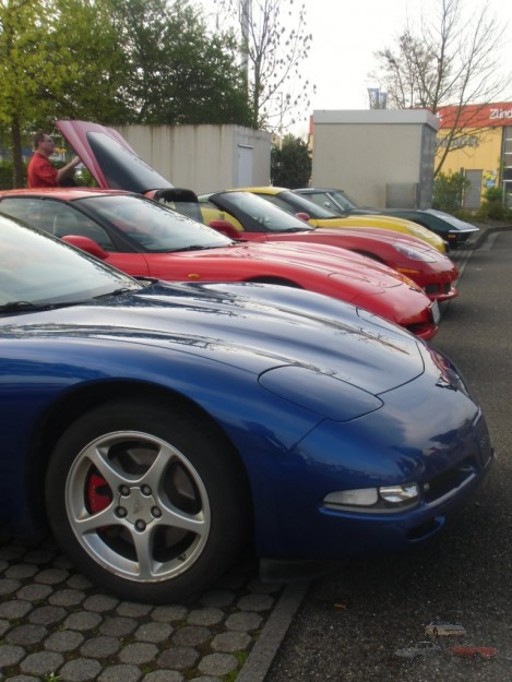 CIMG3902 (FILEminimizer).JPG